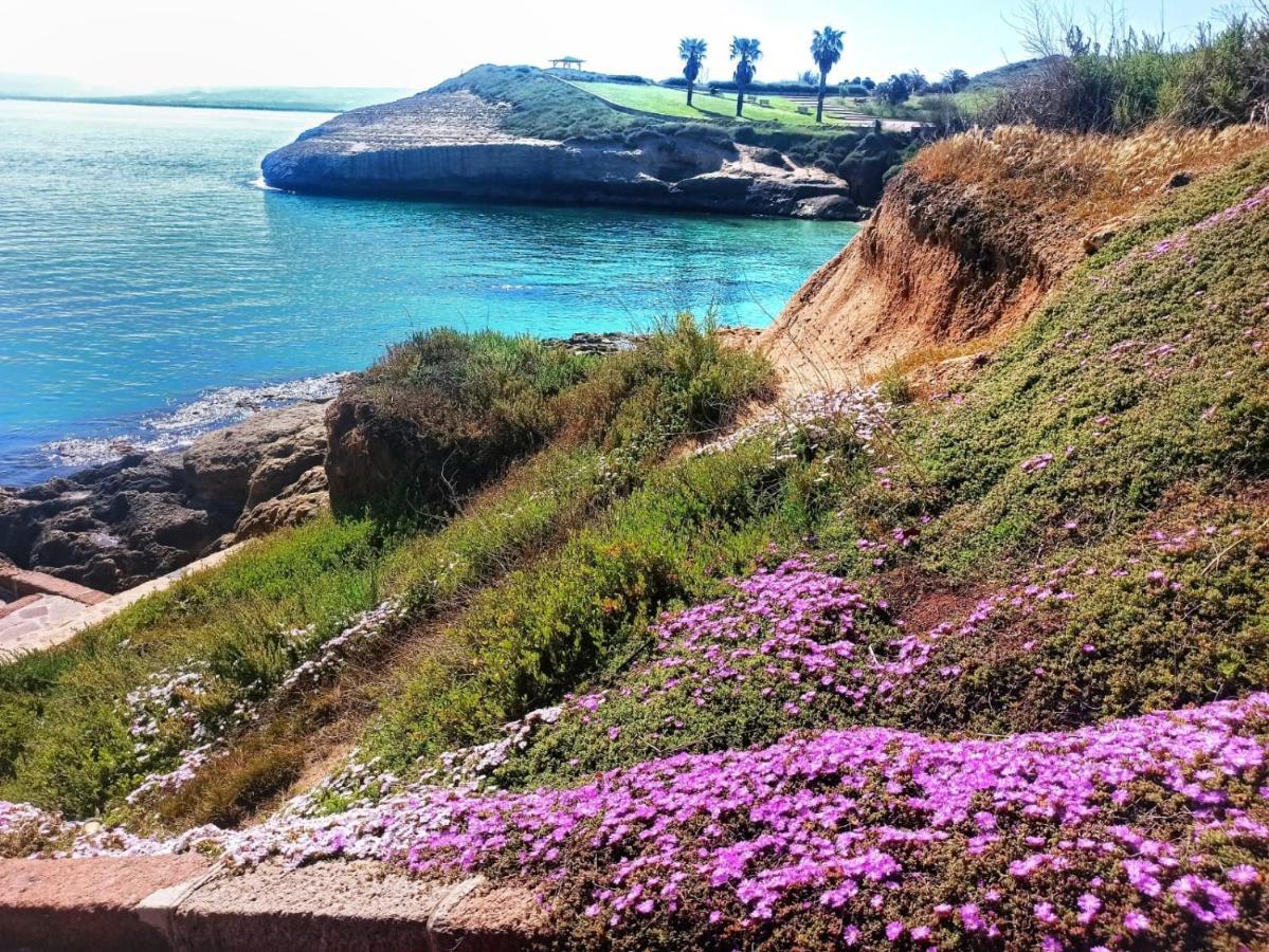 B&B Mamuthones Porto Torres Exteriör bild